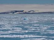 L’arctique, fonte glaces pour quelques gouttes pétrole!