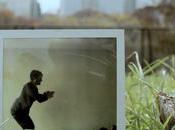 Walker Lukens Dear Someone