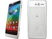 Motorola RAZR disponible blanc