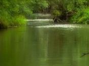 Apps iPhone pour découvrir qualité rivière près chez vous...