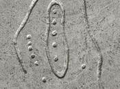 James Holden Gone Feral