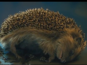 Toutes erreurs Hobbit minutes