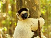 Webinaire beauté nature travers objectif avec Victoria Hillman