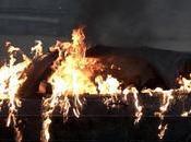 Saab Vampire Weekend