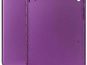 Châssis aluminium remplacement pour l’iPad Mini