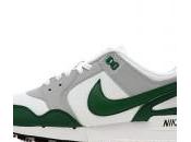 Nike Pegasus Avril 2013 Sports Exclusive