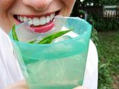 Wikibar dégustez cocktails dans verres comestibles