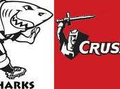 Sharks Crusaders