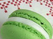 Macaron menthe chocolat