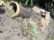 Clic-clac 3*30 home sweet