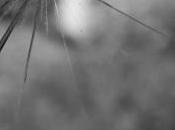 labyrinthe verre transparence élus