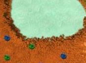 INFECTIONS bactériennes: nano-éponges pour absorber toxines Nature Nanotechnology