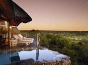 Leopard Hills, safari luxe