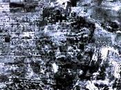 viralité Steel commence