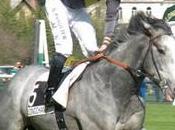 Fontainebleau Grotte
