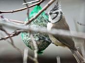 petit coup boule....