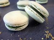 Macarons pistache