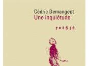 [note lecture] "Une inquiétude" Cédric Demangeot, Jean-Pascal Dubost