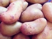 patates c’est vie, vivent gnocchis