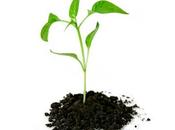 Favoriser l'entrepreneuriat, qu'est-ce signifie