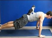 Faire l'exercice avec chats