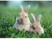 Exercice WEIRD pour tonifier cuisses, hanches fesses vidéo-