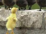 Finalement, racisme anti-blanc existerait tout même