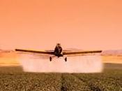 pesticides: quelle quantité vous avez dans votre assiette??