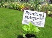cultivait potagers libre-service dans rues