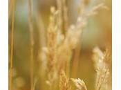 Avez-vous confiance capacités d’entrepreneur