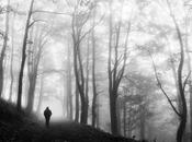 Sélection Pixfan 500px