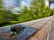 Sélection Darqroom Pixfan #111