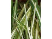 Respectons notre Mère Nature, changeons habitudes