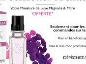 L'occitane miniature luxe