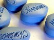 Arnaud Montebourg, Quichotte brasse vent comme moulins