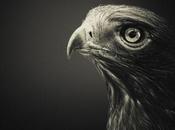 Sélection Pixfan 500px