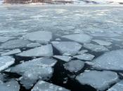 Echanges d’actifs pour Total Norvège