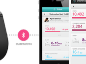 Fitbit Flex disponible