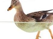 soutiendra canards boiteux avec l’argent contribuables