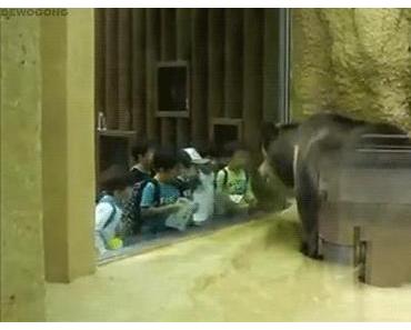 Le créateur du Gif met fin aux débats : On prononce Jif !