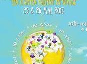 irisiades Auvers Oise