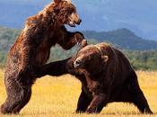 Apple Samsung Cupertino s’attaque Galaxy