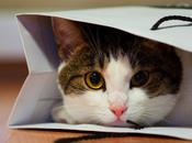 Sélection Shopping pour votre iPhone...