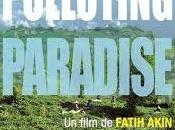 POLLUTING PARADISE Documentaire salle
