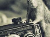 pour nettoyer votre iPhone jailbreaké...