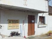 Quatre journées ordinaires (3ème jour) Pécoula