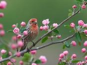 Astuce photographier animaux sauvages