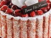 Plaisirs glacés TOUPARGEL