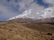 dernier marchand glace