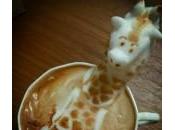latte pour plus beaux dessins cappuccino
